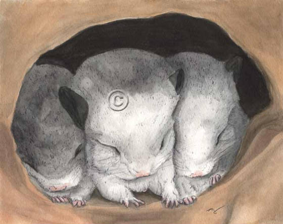 high-triplets.jpg